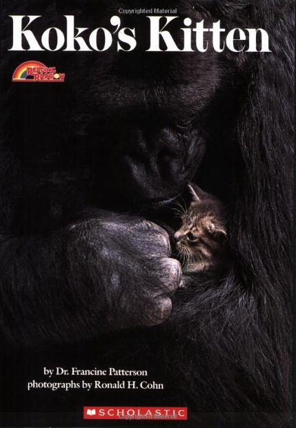Koko’s Kitten