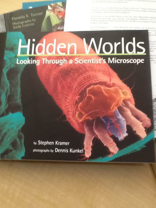 Hidden Worlds