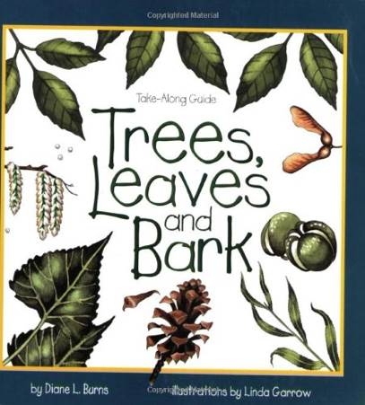 Trees, Leaves, and Bark - Linda Garrow (Northword Press - Paperback) book collectible [Barcode 9781559716284] - Main Image 1