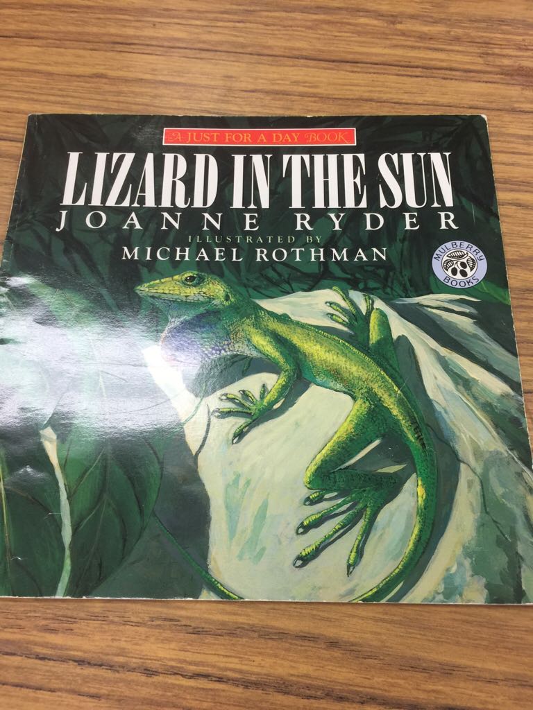 Lizard in the Sun - Joanne Ryder (- Paperback) book collectible [Barcode 9780688130817] - Main Image 1