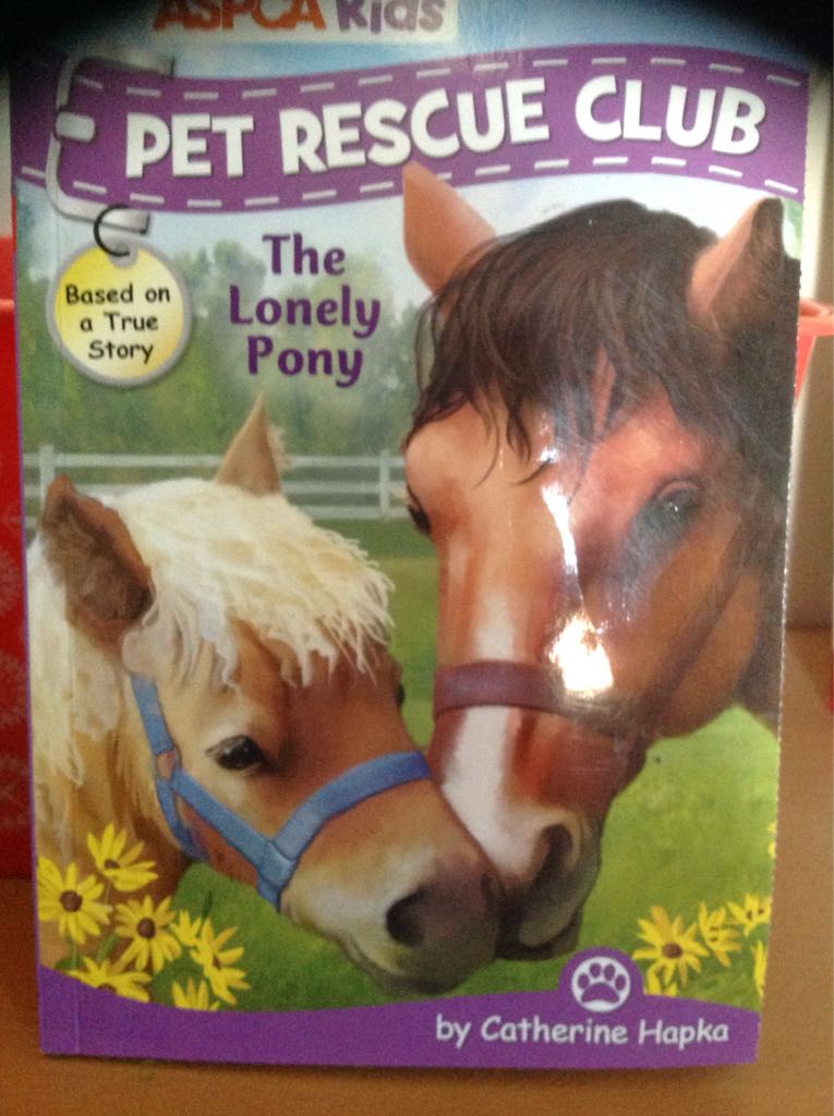 The Lonely Pony