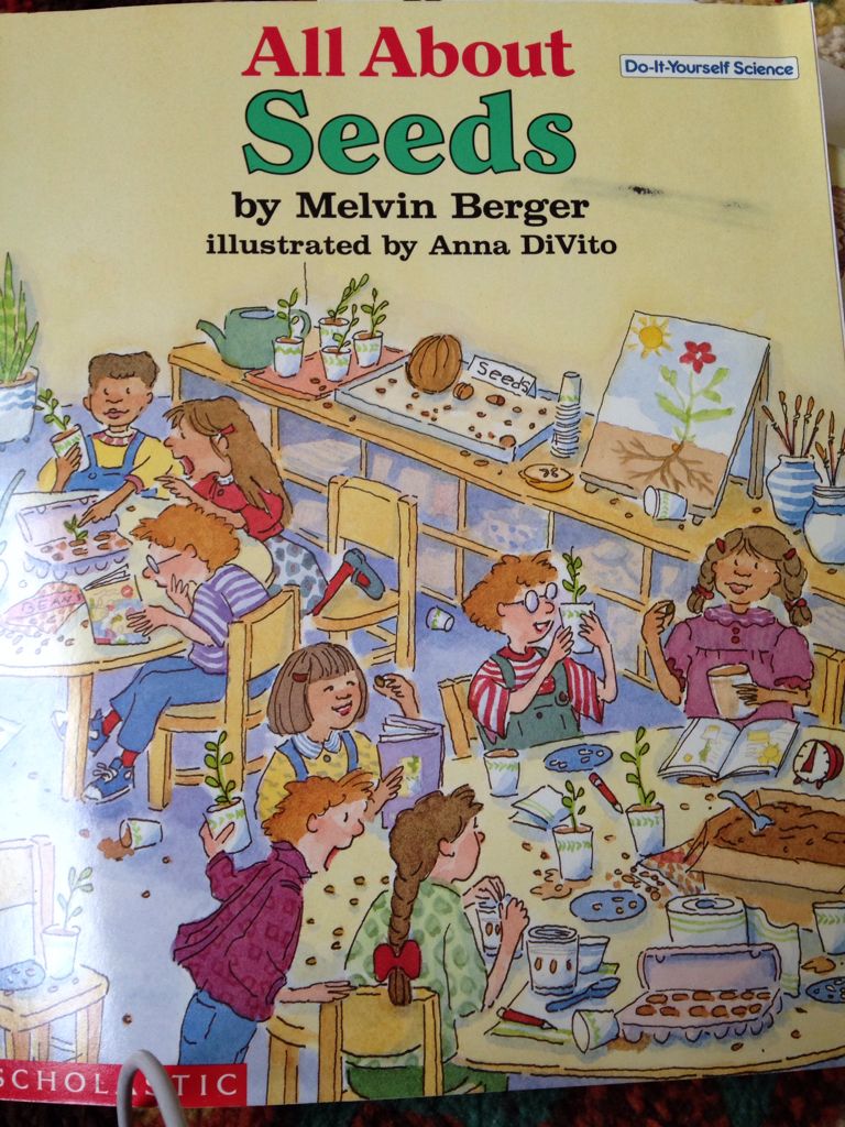 All About Seeds - Melvin Berger (A Scholastic Press - Paperback) book collectible [Barcode 9780590449090] - Main Image 1