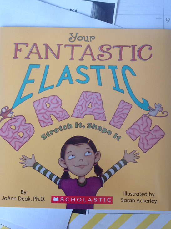 Your Fantastic Elastic Brain