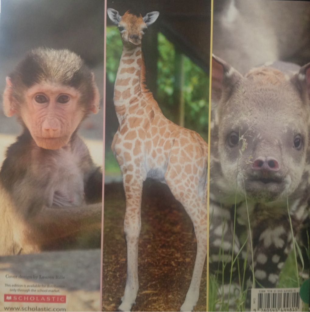 ABC ZooBorns - Andrew Bleiman (Scholastic, Inc. - Paperback) book collectible [Barcode 9780545644815] - Main Image 2