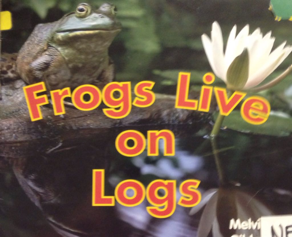 Frogs Live On Logs