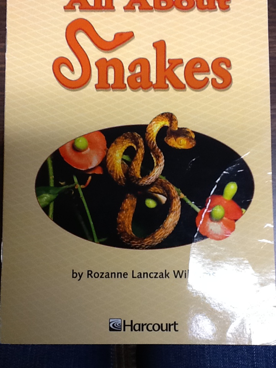 All About Snakes