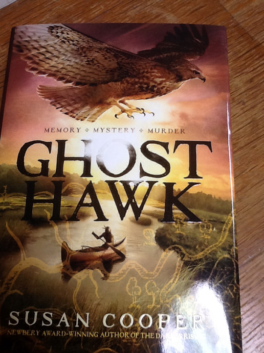 Ghost Hawk - Susan Cooper (Simon and Schuster - Hardcover) book collectible [Barcode 9781442481411] - Main Image 1
