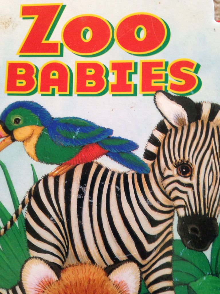 Zoo Babies
