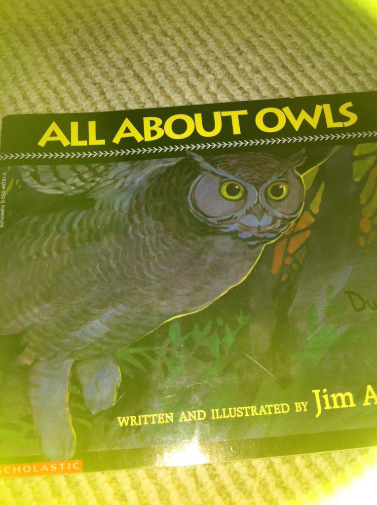 All about Owls