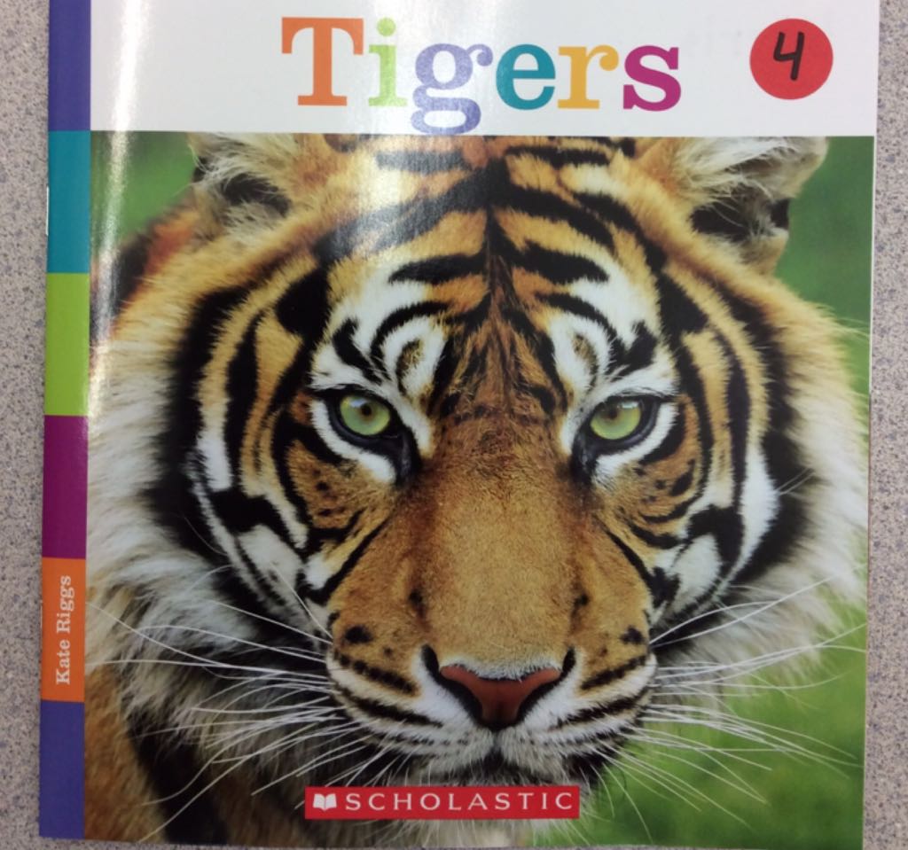 Tigers