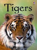 Tigers