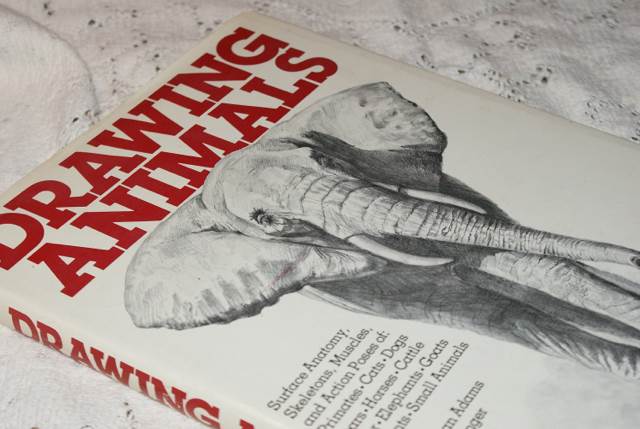 Drawing Animals