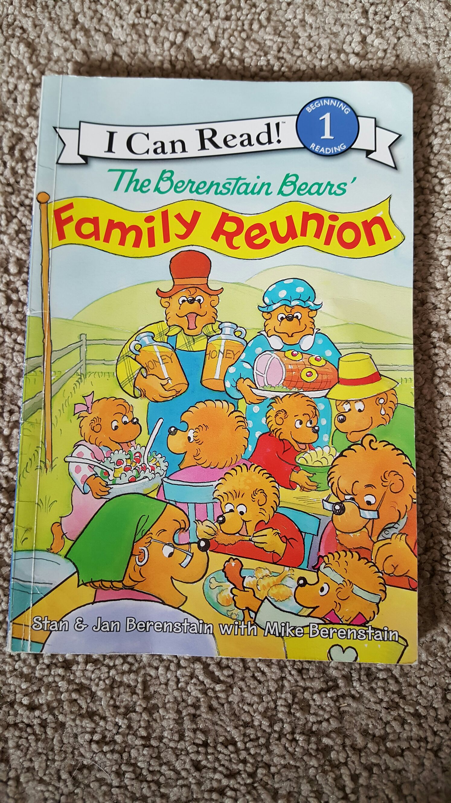 Berenstain Bears’ Family Reunion, The