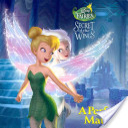 Disney Fairies - A Perfect Match
