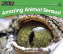 Amazing Animal Senses!