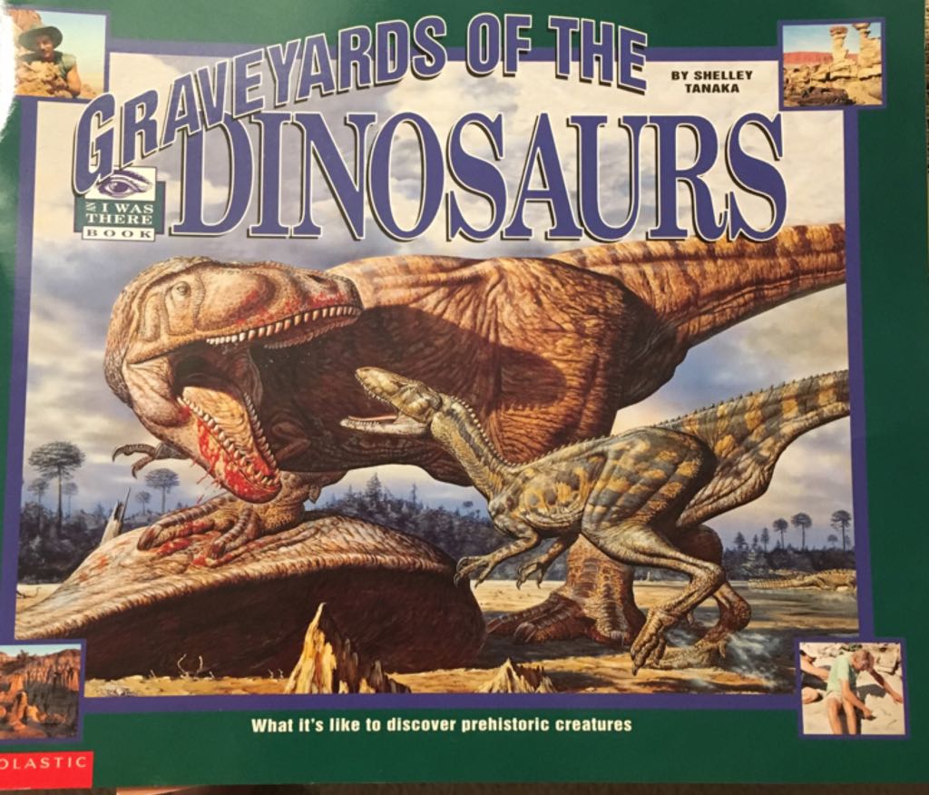 Graveyards of the dinosaurs