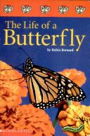 The Life Of A Butterfly