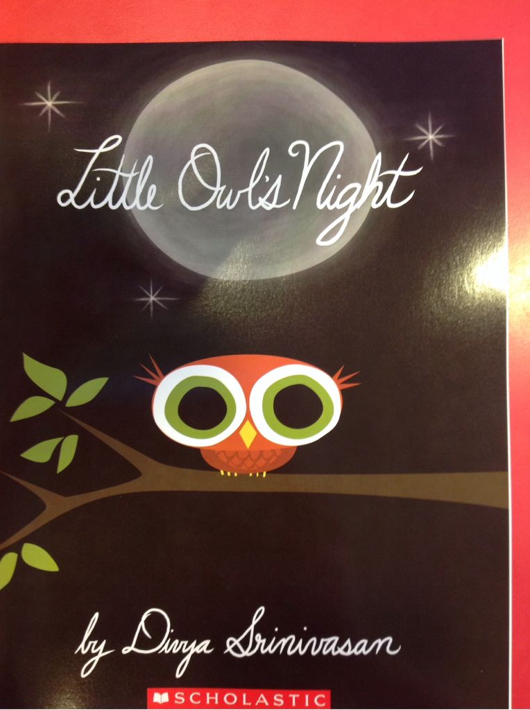 Little Owl’s Night