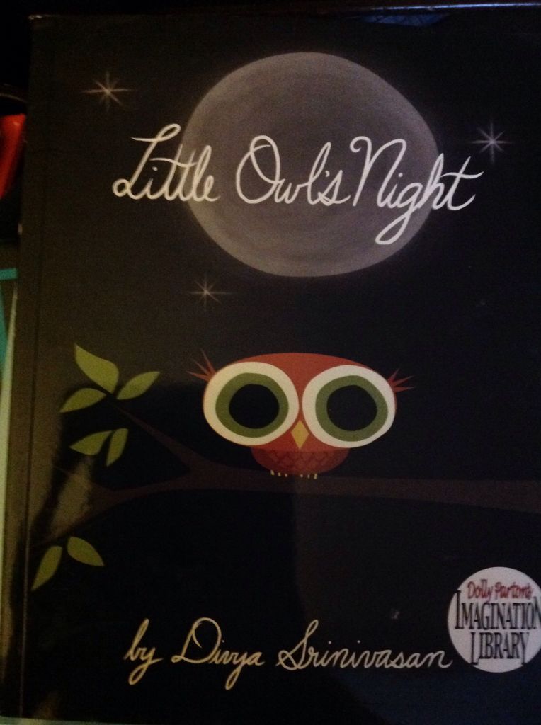 Little Owl’s Night - divya Srinivasan book collectible [Barcode 9780670784844] - Main Image 1