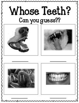 Gus Loses a Tooth - Frank Remkiewicz book collectible [Barcode 9780545469111] - Main Image 2