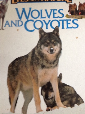 Wolves & Coyotes