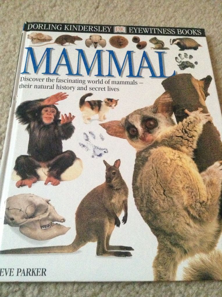 Mammal