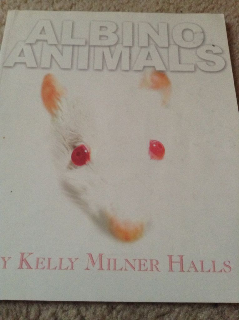 Albino Animals - Kelly Milner Halls (Darby Creek Publishing - Paperback) book collectible [Barcode 9781581960167] - Main Image 1