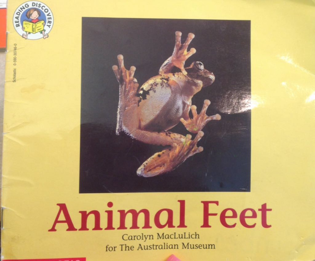 Animal Feet