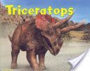 Triceratops
