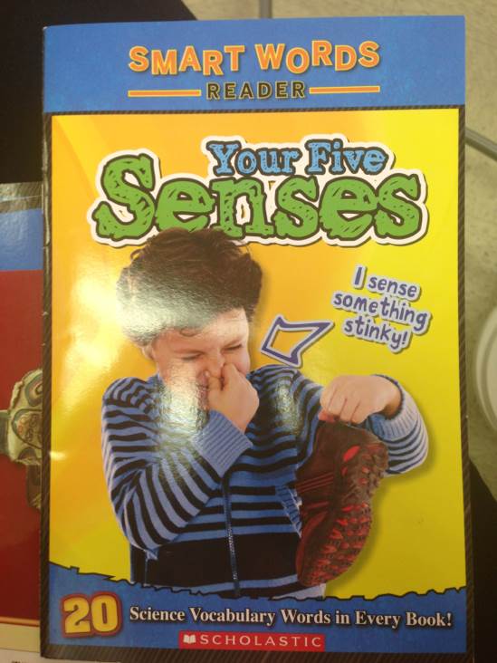 Your Five Senses