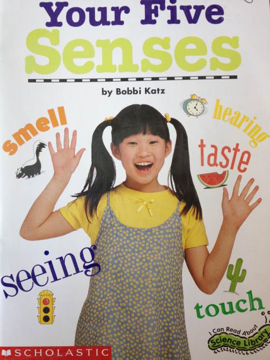Your Five Senses