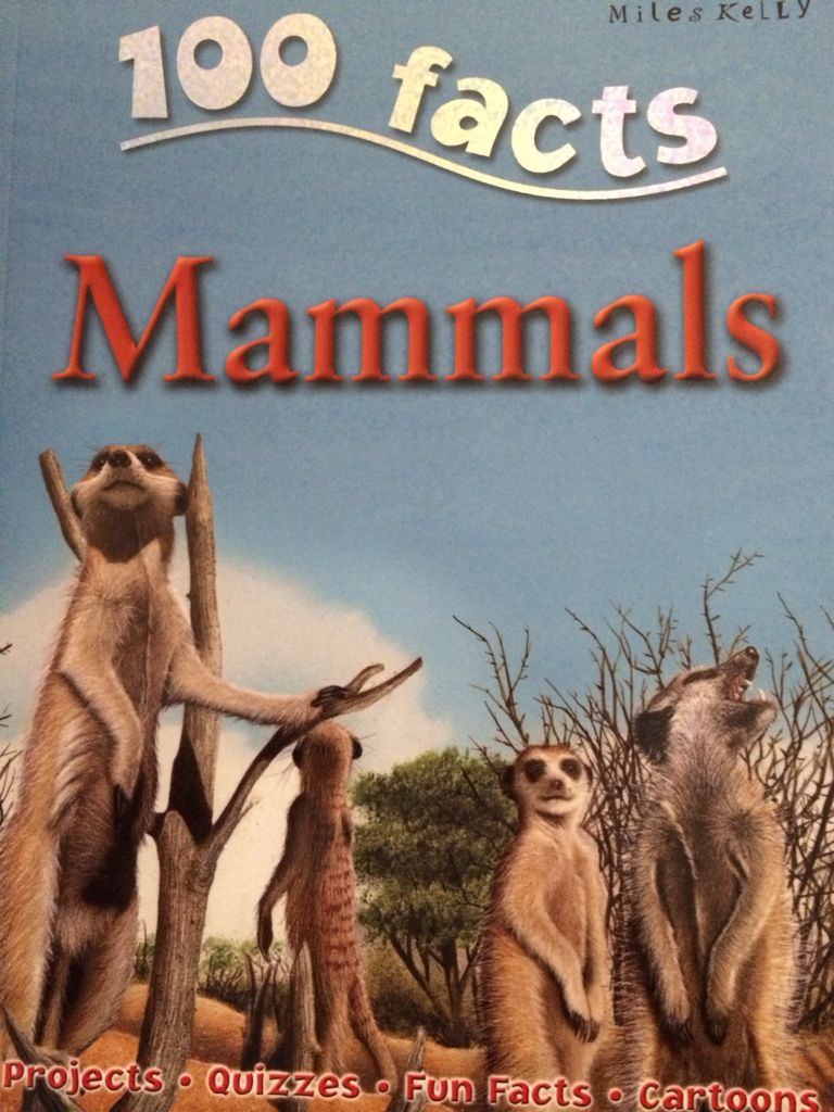 100 Facts Mammals - Miles Kelly book collectible [Barcode 9781782093084] - Main Image 1