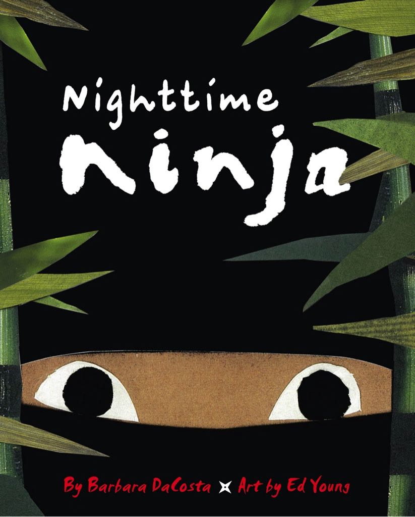 Nighttime Ninja