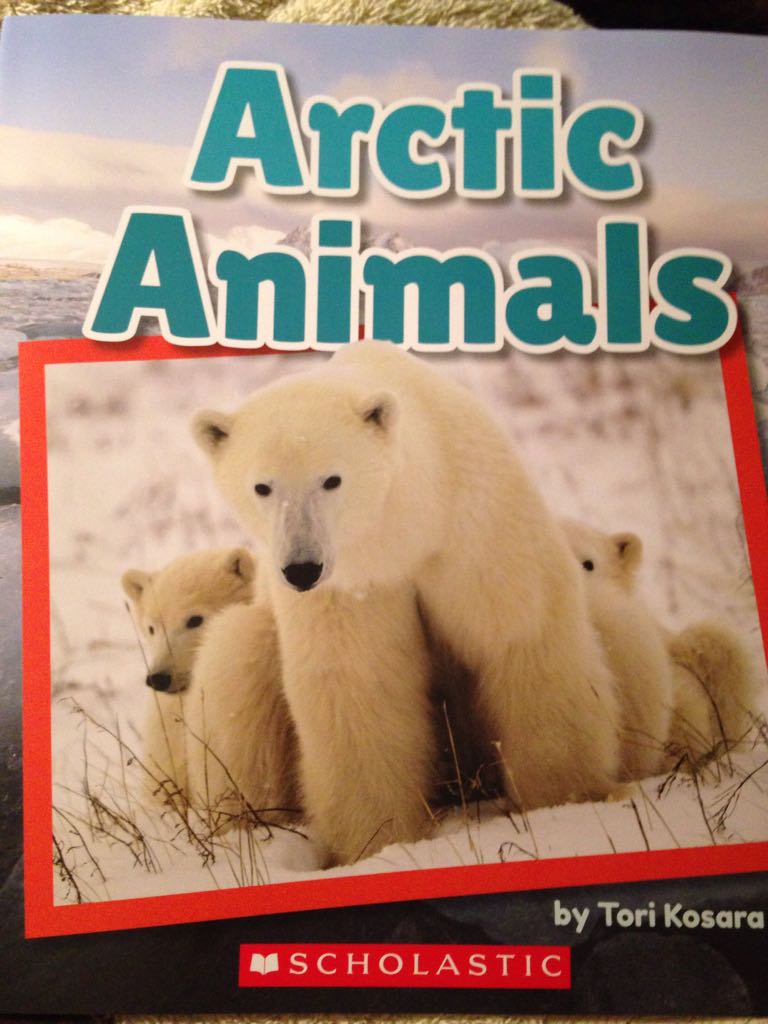 Arctic Animals