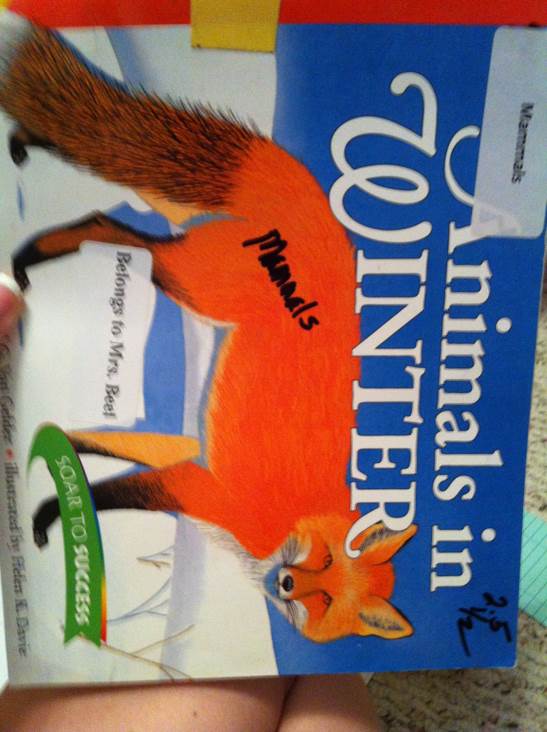Animals in Winter - Henrietta Bancroft (HarperCollins) book collectible [Barcode 9780395781555] - Main Image 1
