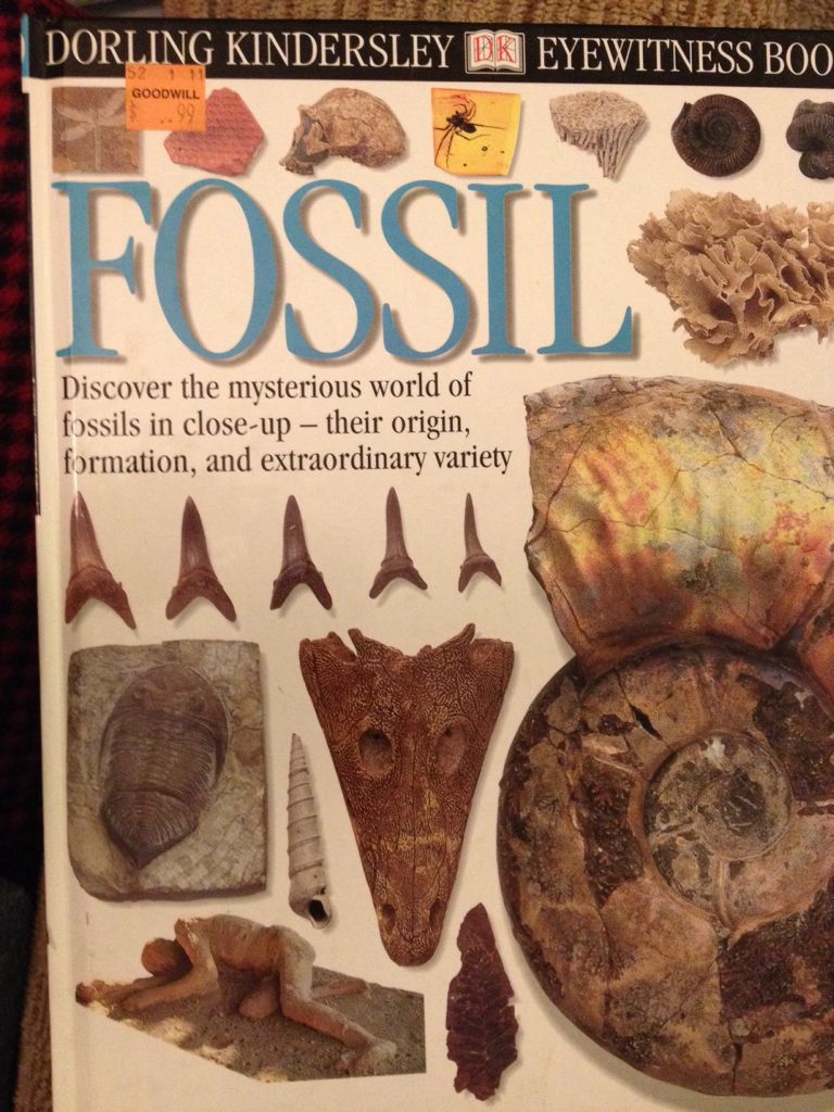 Fossil