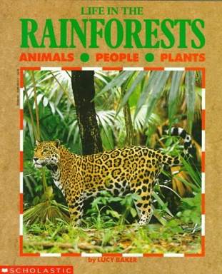 Life In The Rainforests