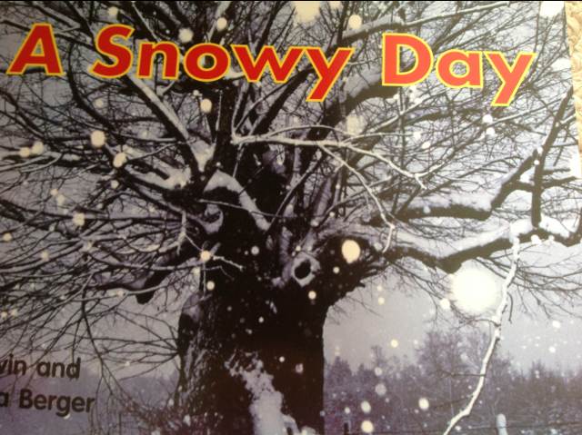 A Snowy Day
