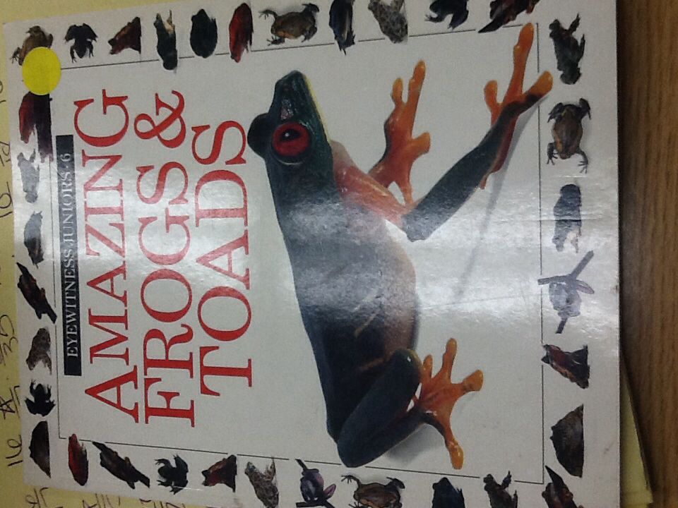 Amazing Frogs and Toads