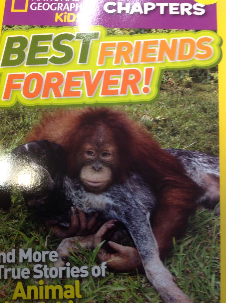 Best Friends Forever! - Amy Shields (National Geographic Kids - Paperback) book collectible [Barcode 9780545529877] - Main Image 1
