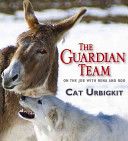 The Guardian Team