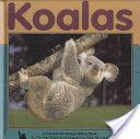 Koalas