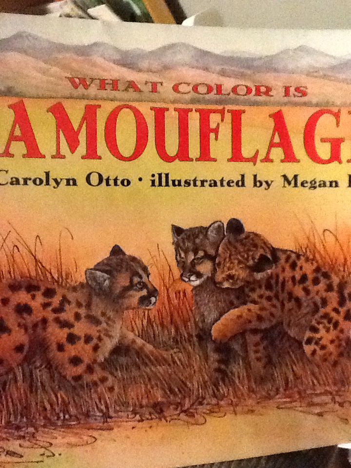 What Color Is Camouflage? (Let’s Read and Find Out Science)