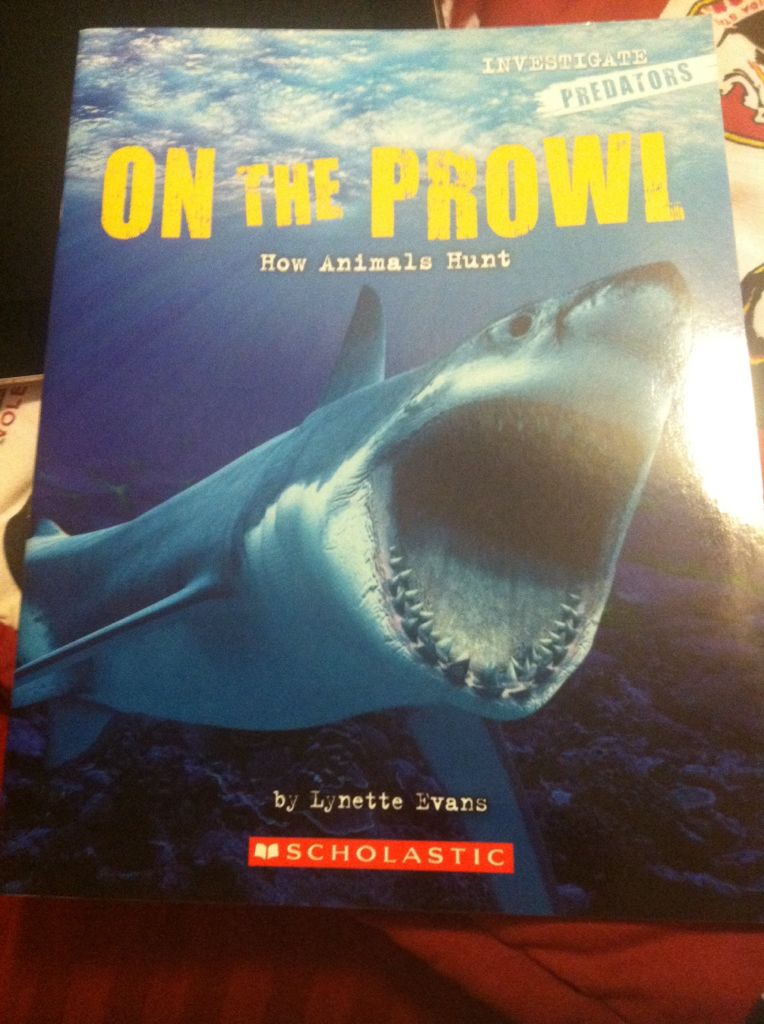 Investigate Predators: On The Prowl