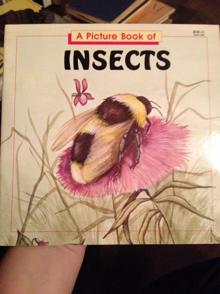 A Picture Book of Insects - Joanne Mattern (Troll Communications - Paperback) book collectible [Barcode 9780816721559] - Main Image 1