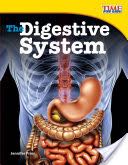 The Digestive System