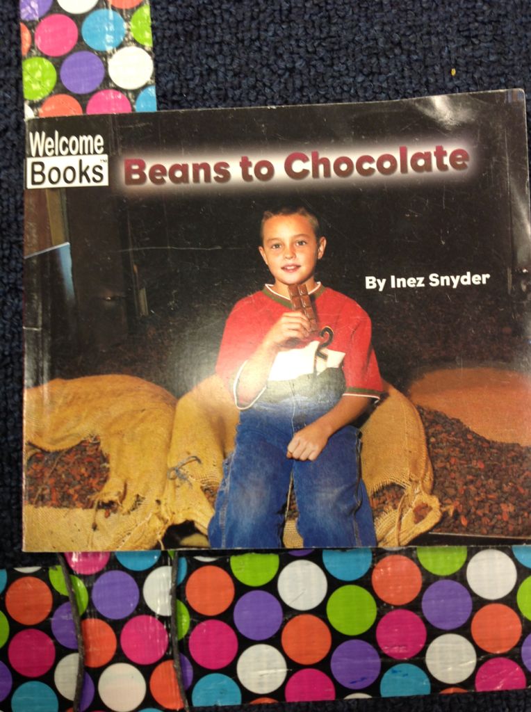 Beans to Chocolate