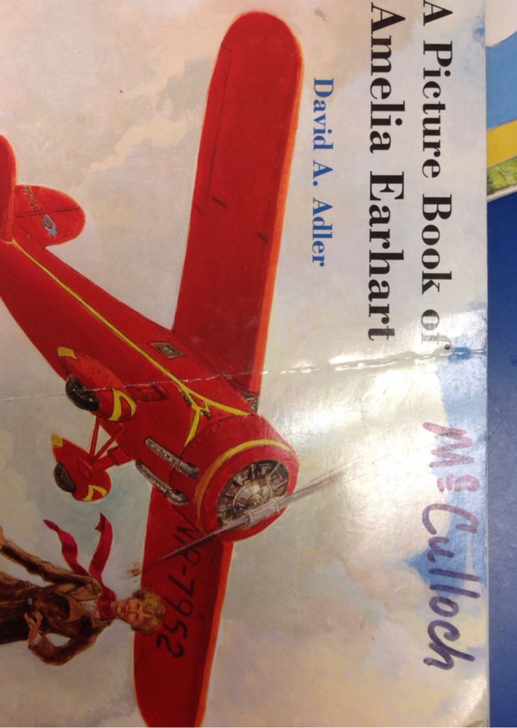 Picture Book of Amelia Earhart, A