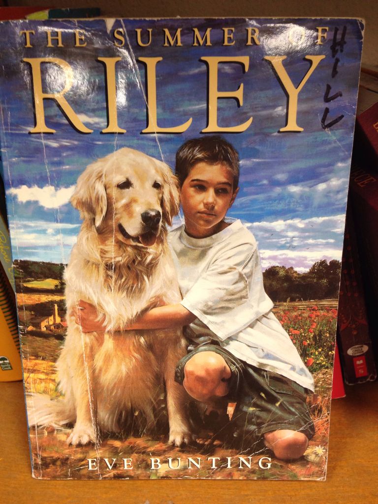 Summer Of Riley