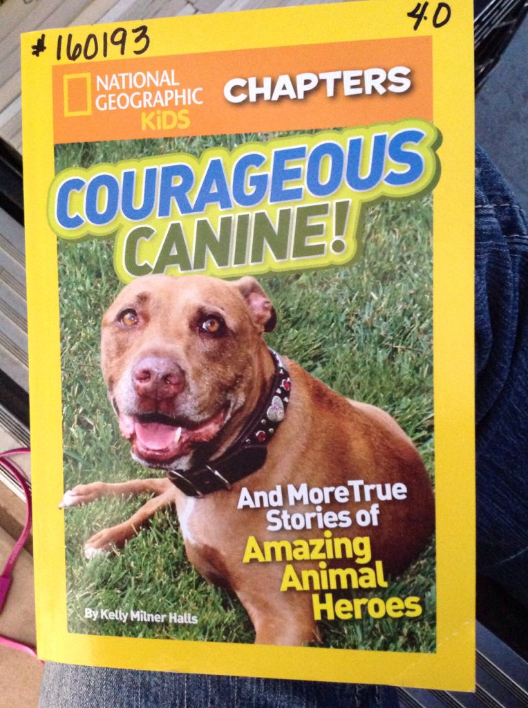 Courageous Canine!